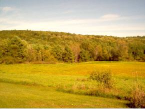 136 Obrien Road Rockingham, VT 05101 - Photo 6 of 9