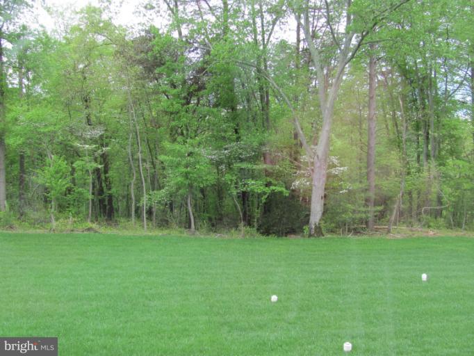 3 New Cut Road Severn, MD 21144 - Photo 21 of 22 2.39 acre lot backs to woods.