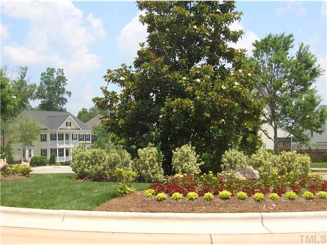 11313 Shadow Elms Lane Raleigh, NC 27614 - Photo 15 of 23 One Of Many Views Of Bedford @ Falls River