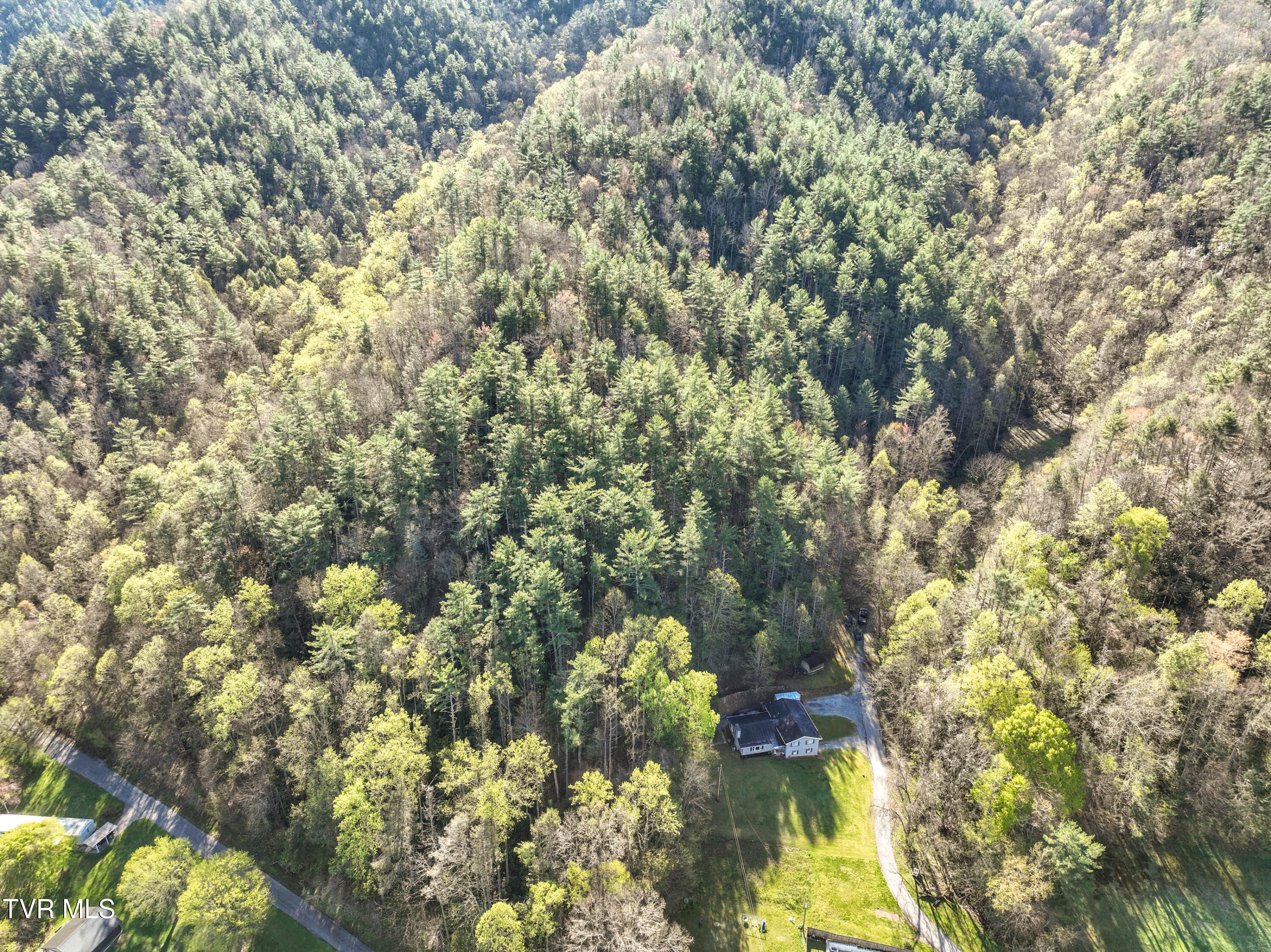 115 Freeman Silvers Road Erwin, TN 37650 - Photo 54 of 61 115 Freeman Silvers Rd Drone-7