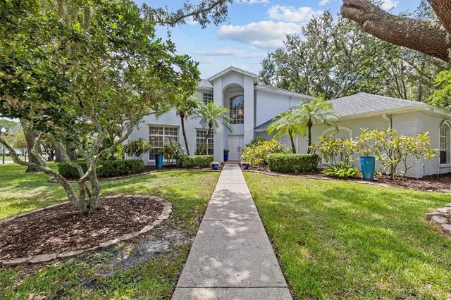 a view of a park with large trees