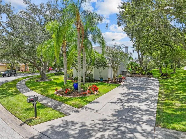 a view of a yard with plants and trees