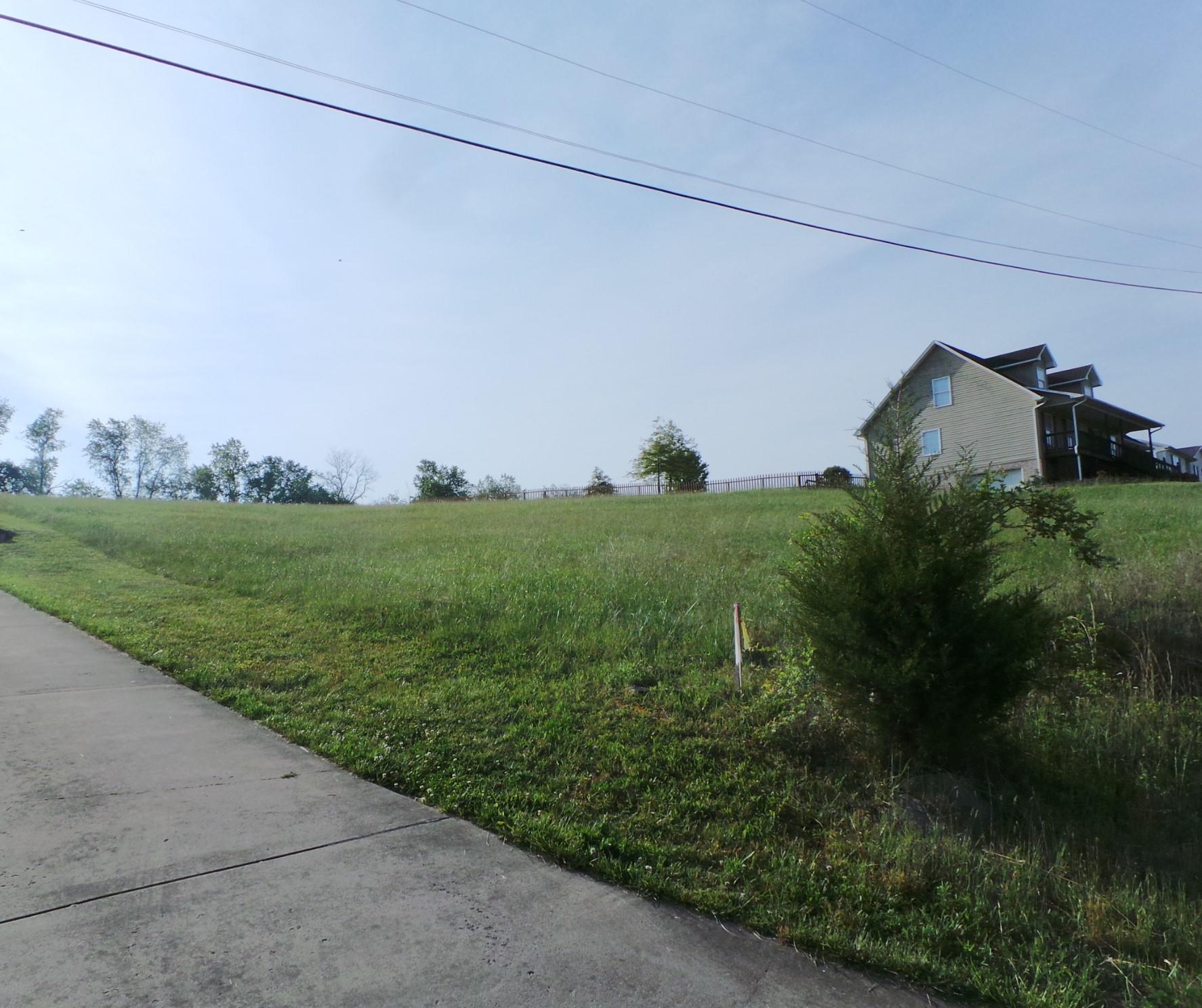 1344 Timber Ridge Road, Unit 5 Bluff City, TN 37618 - Photo 9 of 17 9