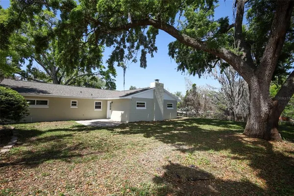 a view of a tree in a yard
