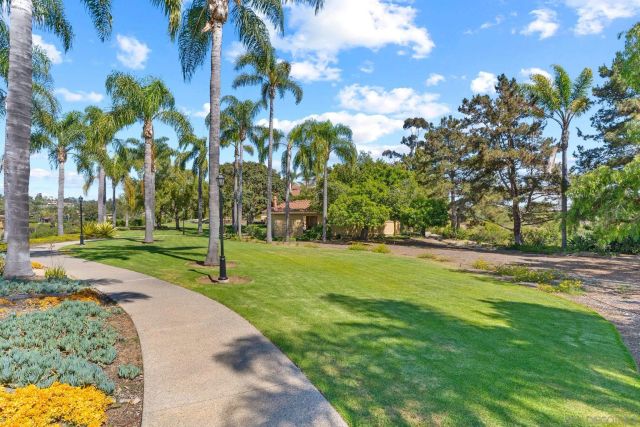a view of a park with palm trees