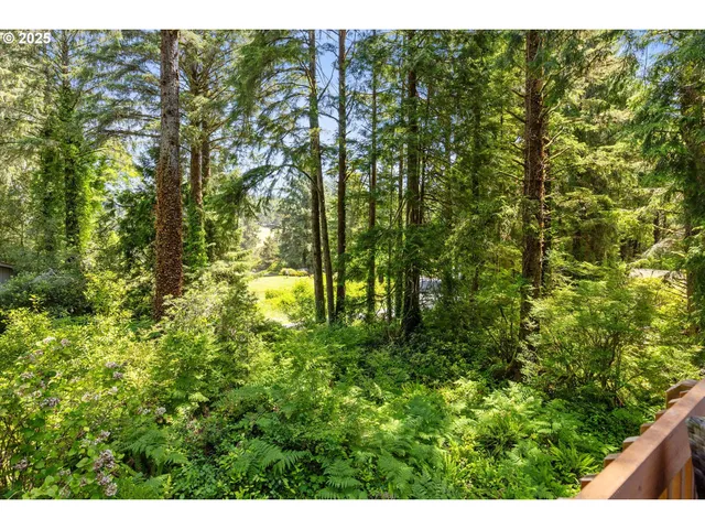 a view of outdoor space and trees