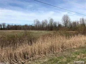 $154,900 | 0 St Clair Highway, Casco, MI 48064