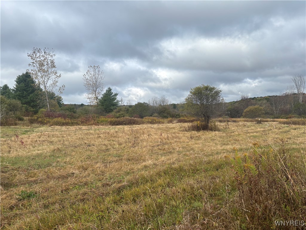 10087 Pratt Road Centerville, NY 14744 - Photo 2 of 5