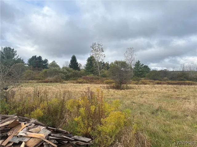 $30,000 | 10087 Pratt Road, Centerville, NY 14744