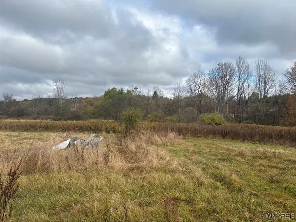 $30,000 | 10087 Pratt Road, Centerville, NY 14744