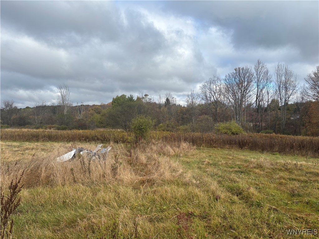 10087 Pratt Road Centerville, NY 14744 - Photo 4 of 5