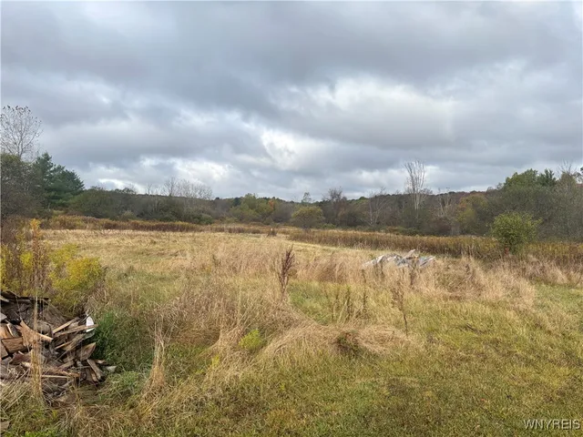 $30,000 | 10087 Pratt Road, Centerville, NY 14744