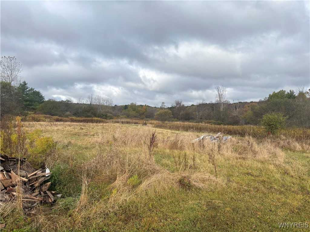 10087 Pratt Road Centerville, NY 14744 - Photo 5 of 5