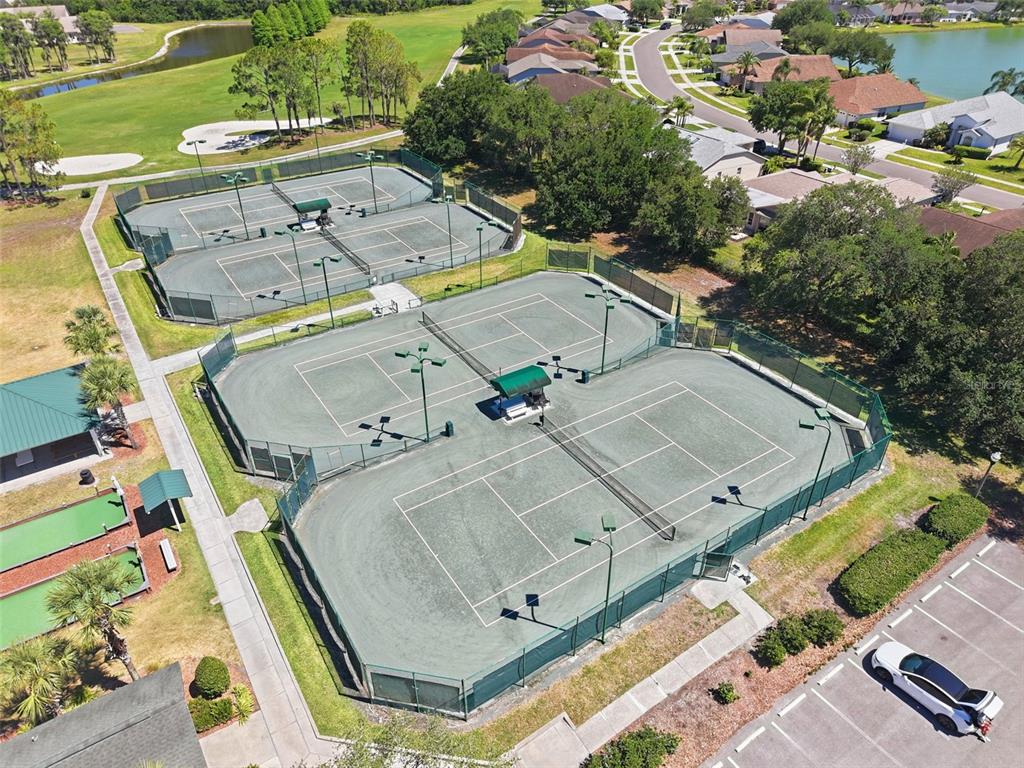 1430 Canberley Court Trinity, FL 34655 - Photo 56 of 66