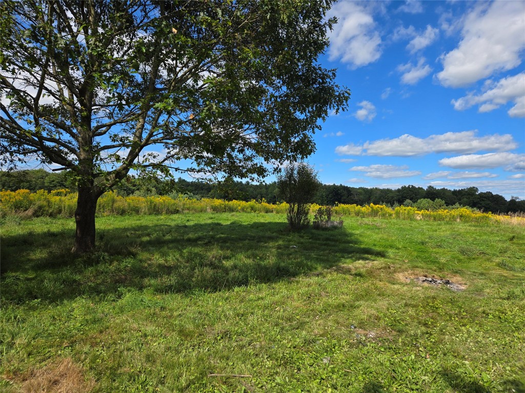1271 County Road 30 Afton, NY 13730 - Photo 2 of 16