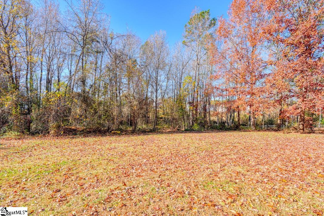 214 Mason Drive Inman, SC 29349 - Photo 43 of 50