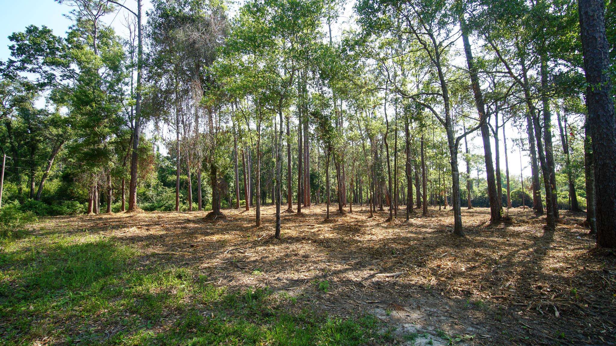 0 Antietam Road Lillian, AL 36549 - Photo 29 of 32