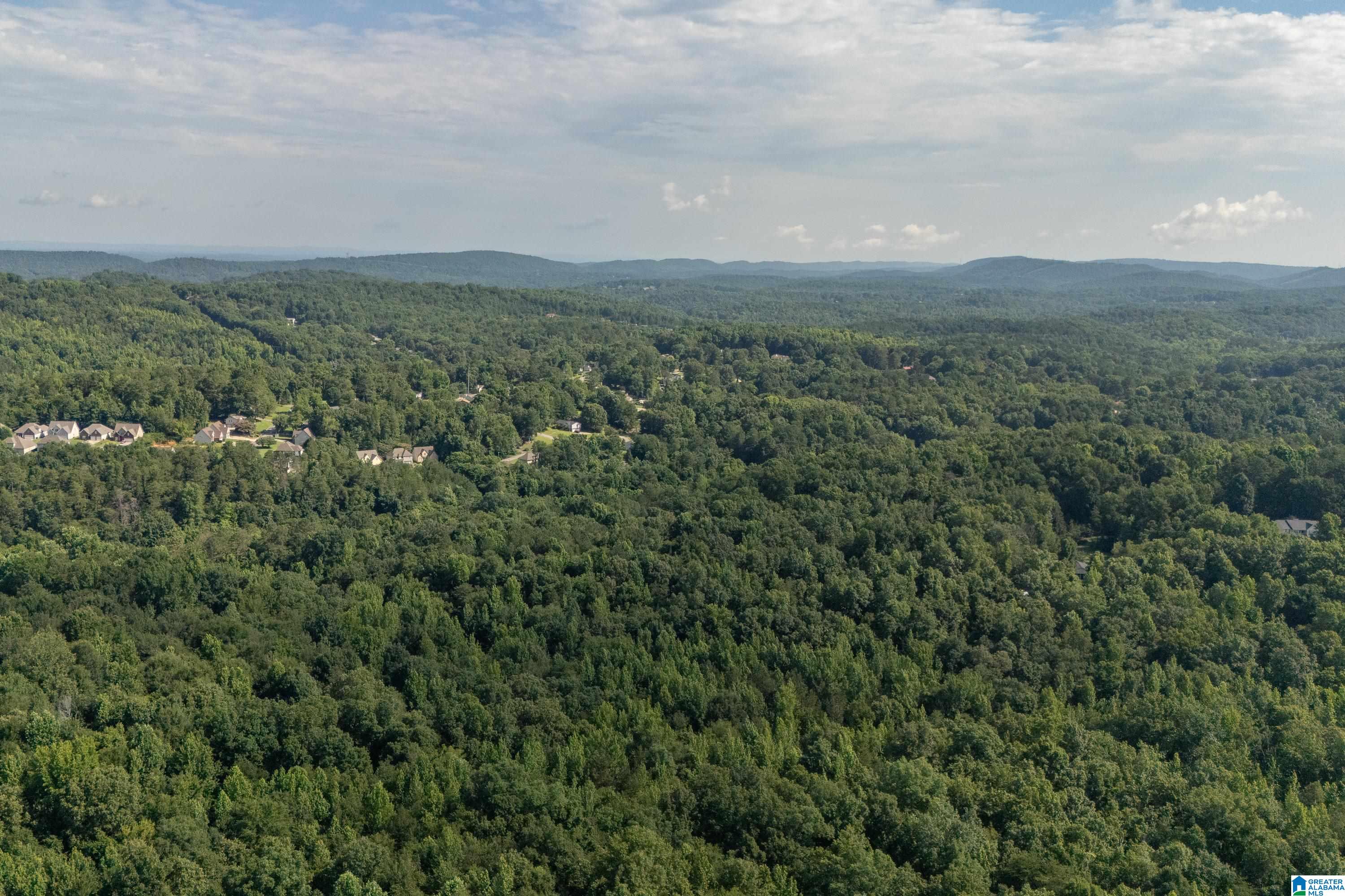 4861 Grist Mill Road, Unit 1 Pinson, AL 35126 - Photo 11 of 12