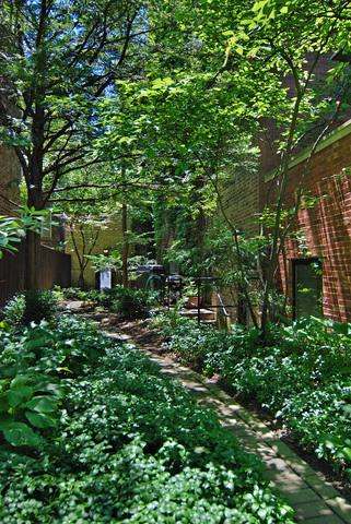 643 West Arlington Place Chicago, IL 60614 - Photo 14 of 16