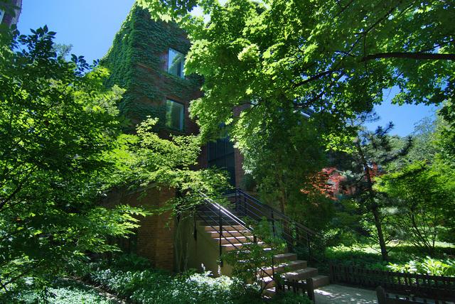 643 West Arlington Place Chicago, IL 60614 - Photo 16 of 16