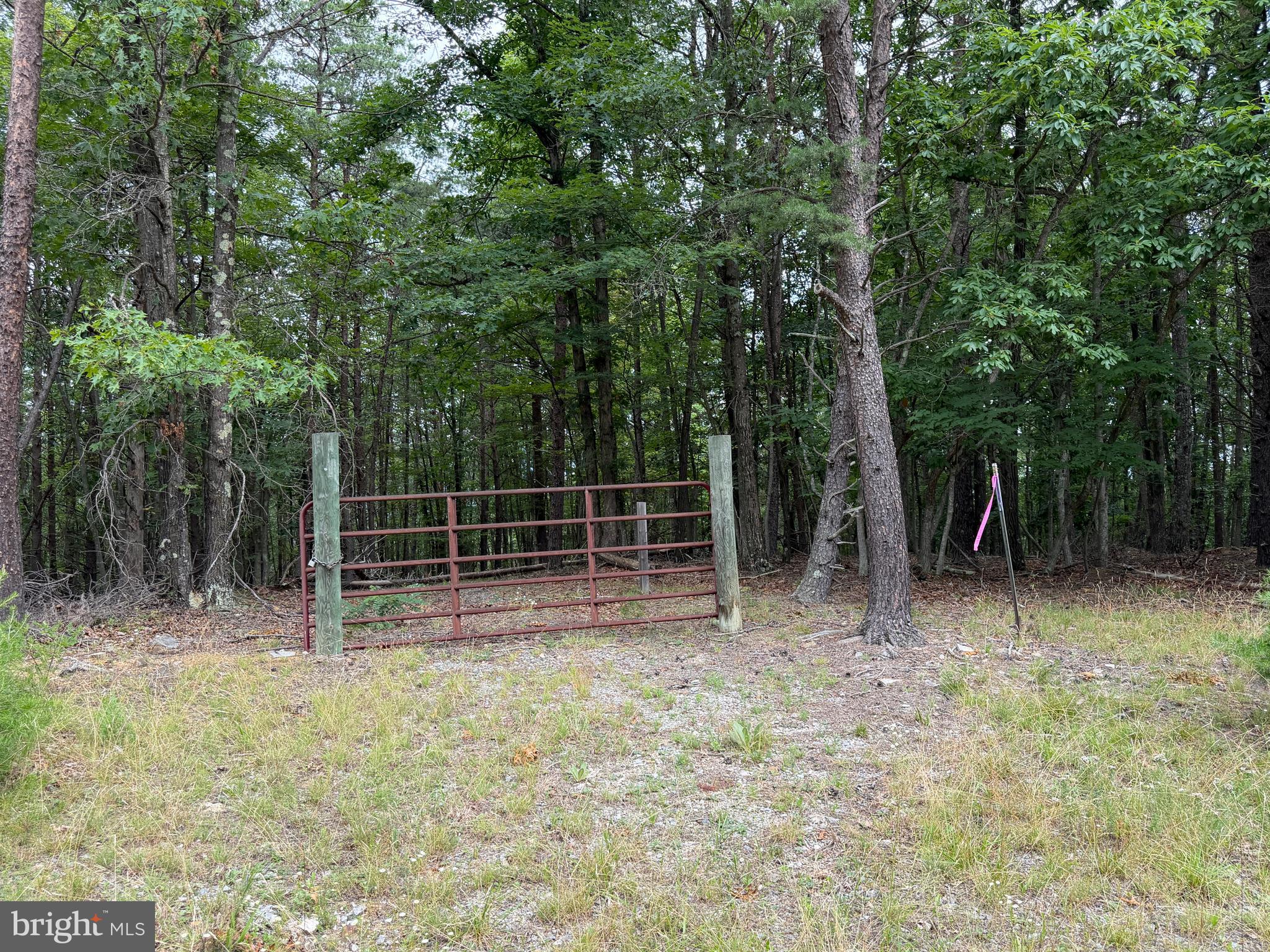 14 Shadow Knolls Springfield, WV 26763 - Photo 23 of 67 GATED DRIVEWAY