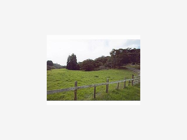 1999 North Rodeo Gulch Road Soquel, CA 95073 - Photo 3 of 9 a picture of a person on a field