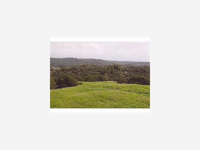 1999 North Rodeo Gulch Road Soquel, CA 95073 - Photo 7 of 9 a picture of a person in a field