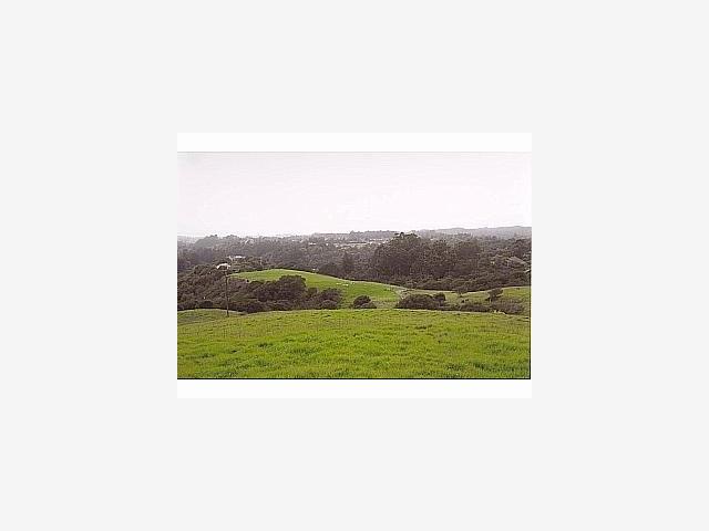 1999 North Rodeo Gulch Road Soquel, CA 95073 - Photo 8 of 9 a picture of a person on a field