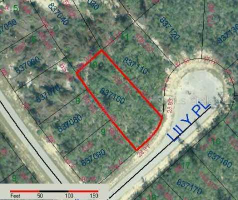 Lilly Place Kissimmee, FL 34759 - Photo 1 of 1 Land