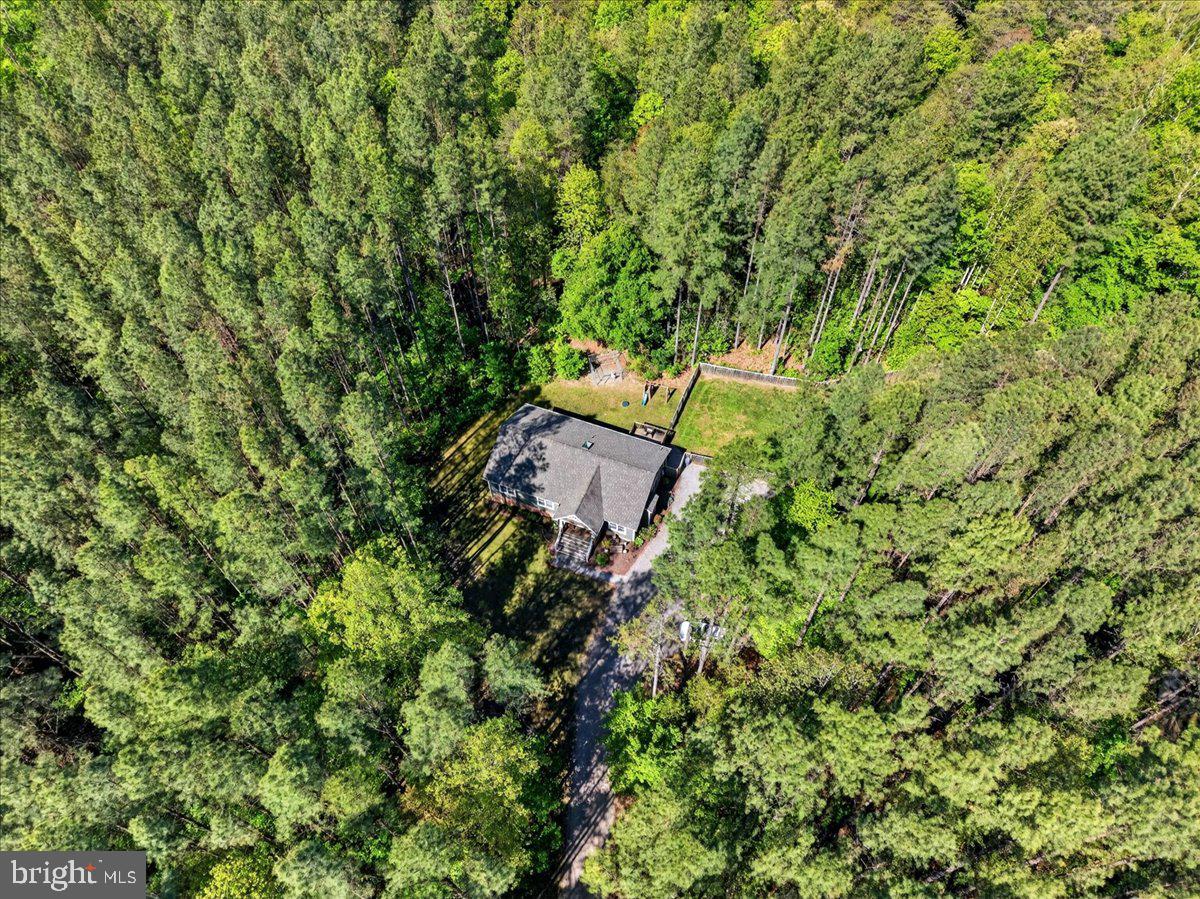 844 Manchester Road Bumpass, VA 23024 - Photo 61 of 65 Secluded and private