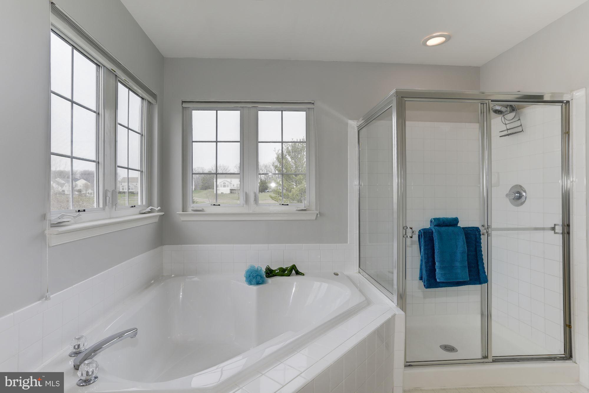 5905 Sandy Ridge Elkridge, MD 21075 - Photo 17 of 30 Newly painted master bathroom with water closet.
