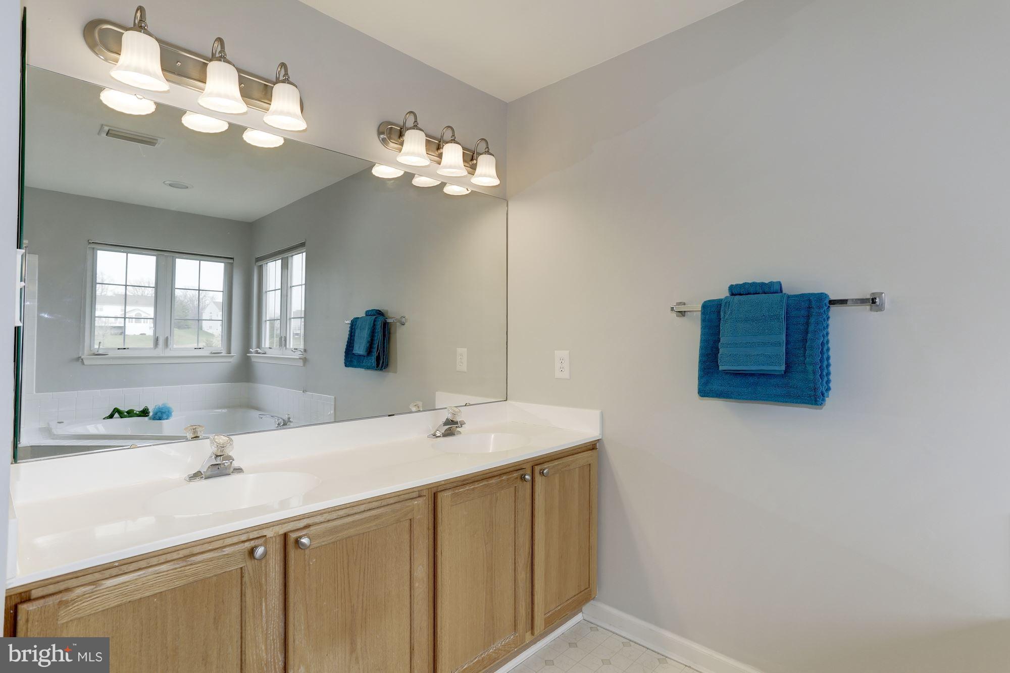 5905 Sandy Ridge Elkridge, MD 21075 - Photo 18 of 30 Master bathroom with double sinks.