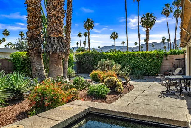 a view of a yard with plants and a bench