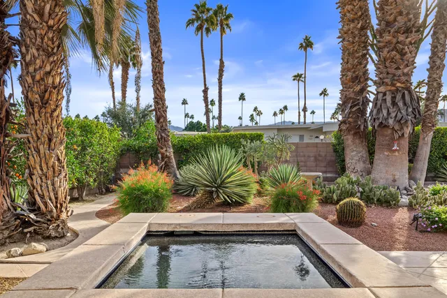 a view of a yard with potted plants
