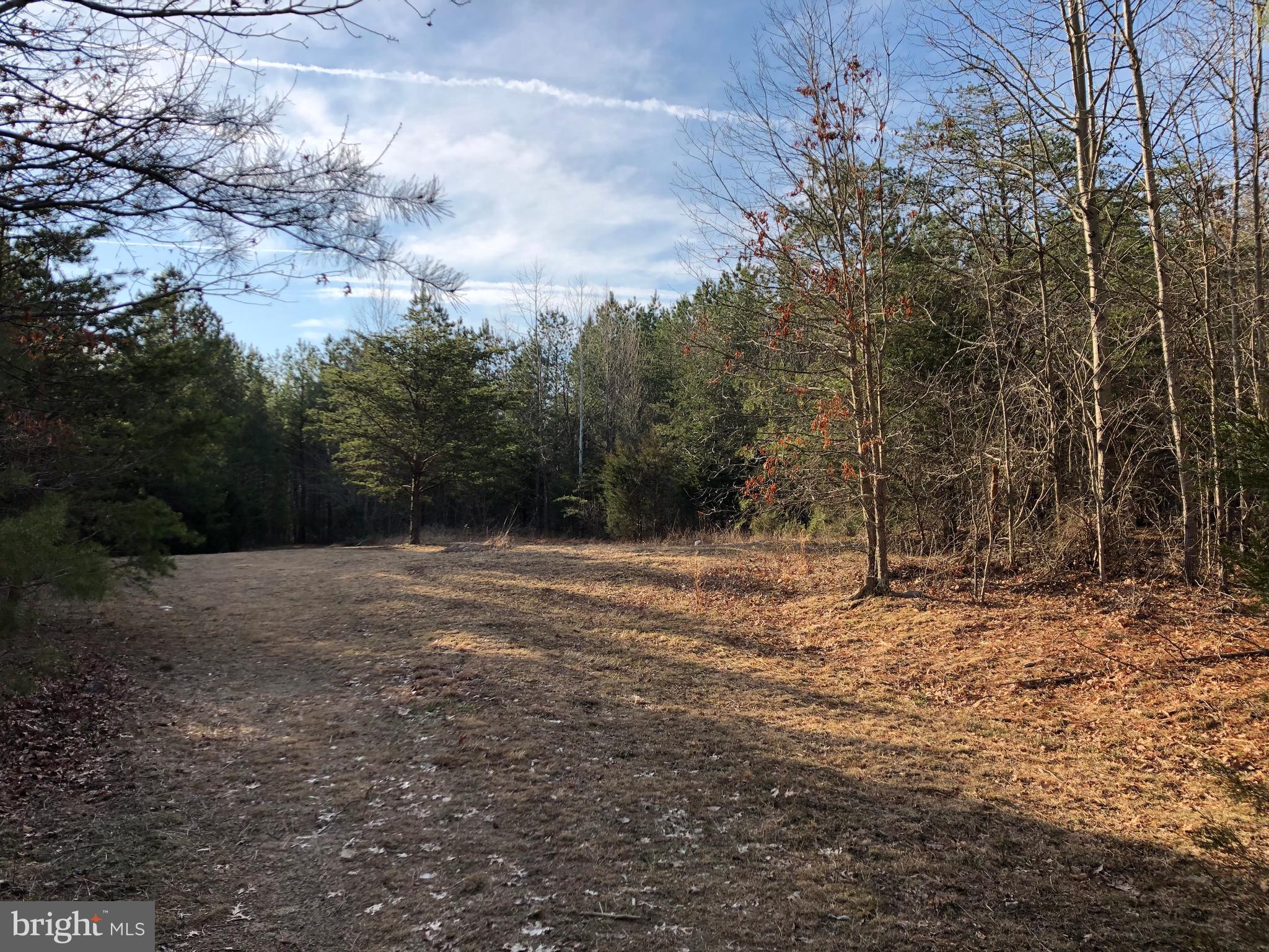 Mountain Road Front Royal, VA 22630 - Photo 12 of 27 Maintained Open Areas
