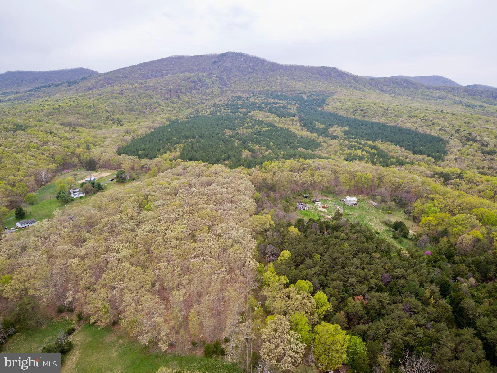 Mountain Road Front Royal, VA 22630 - Photo 16 of 27 Gallery Image 16