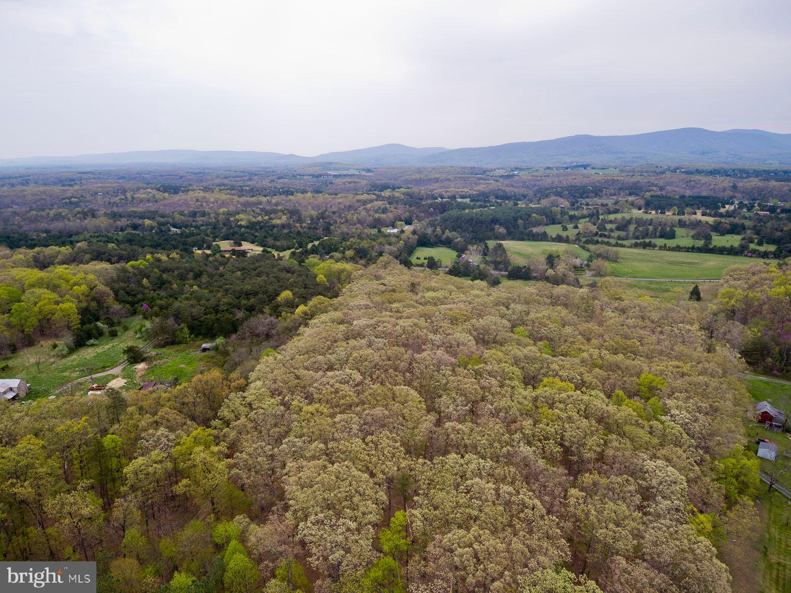 Mountain Road Front Royal, VA 22630 - Photo 3 of 27 Gallery Image 3