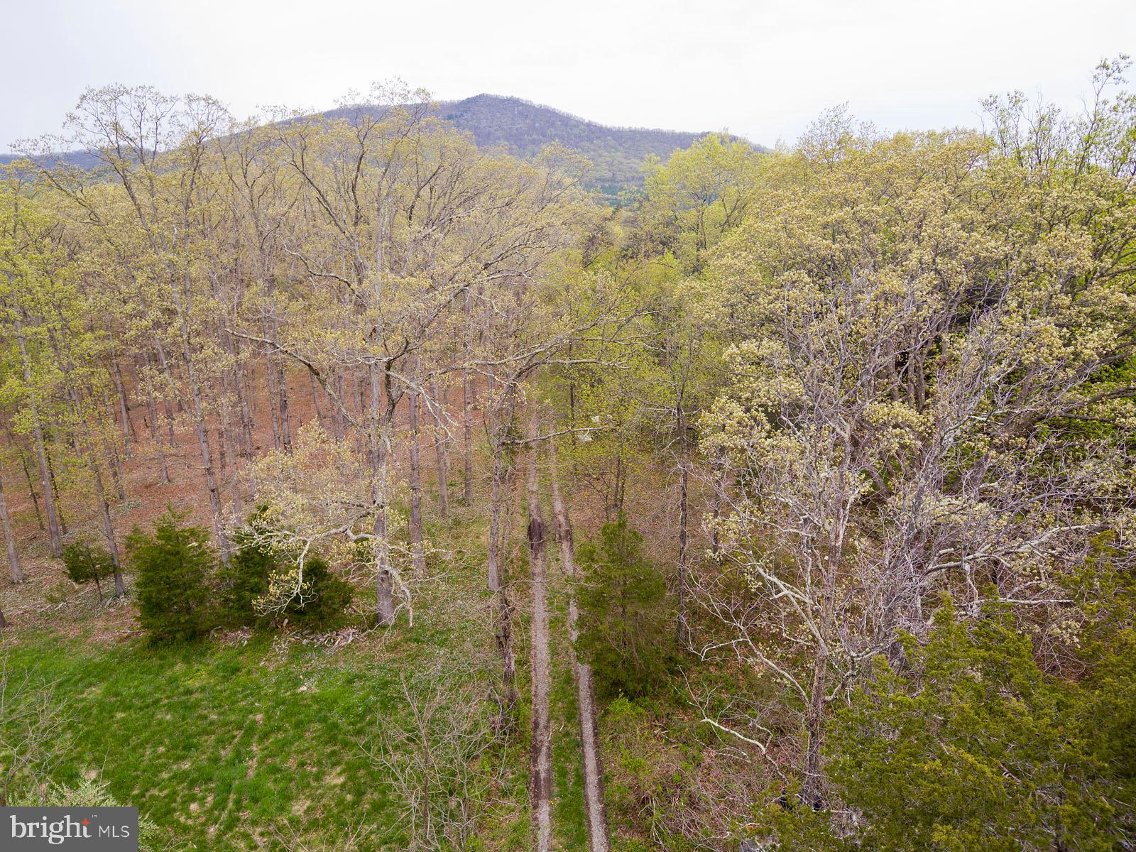 Mountain Road Front Royal, VA 22630 - Photo 26 of 27 Gallery Image 26