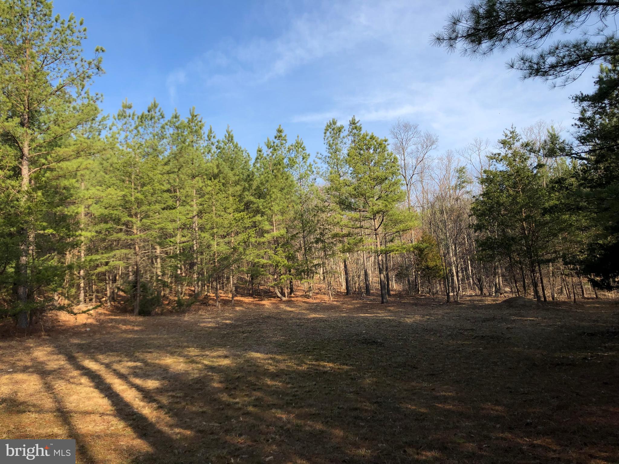Mountain Road Front Royal, VA 22630 - Photo 6 of 27 Several Lovely spots to camp or build a home