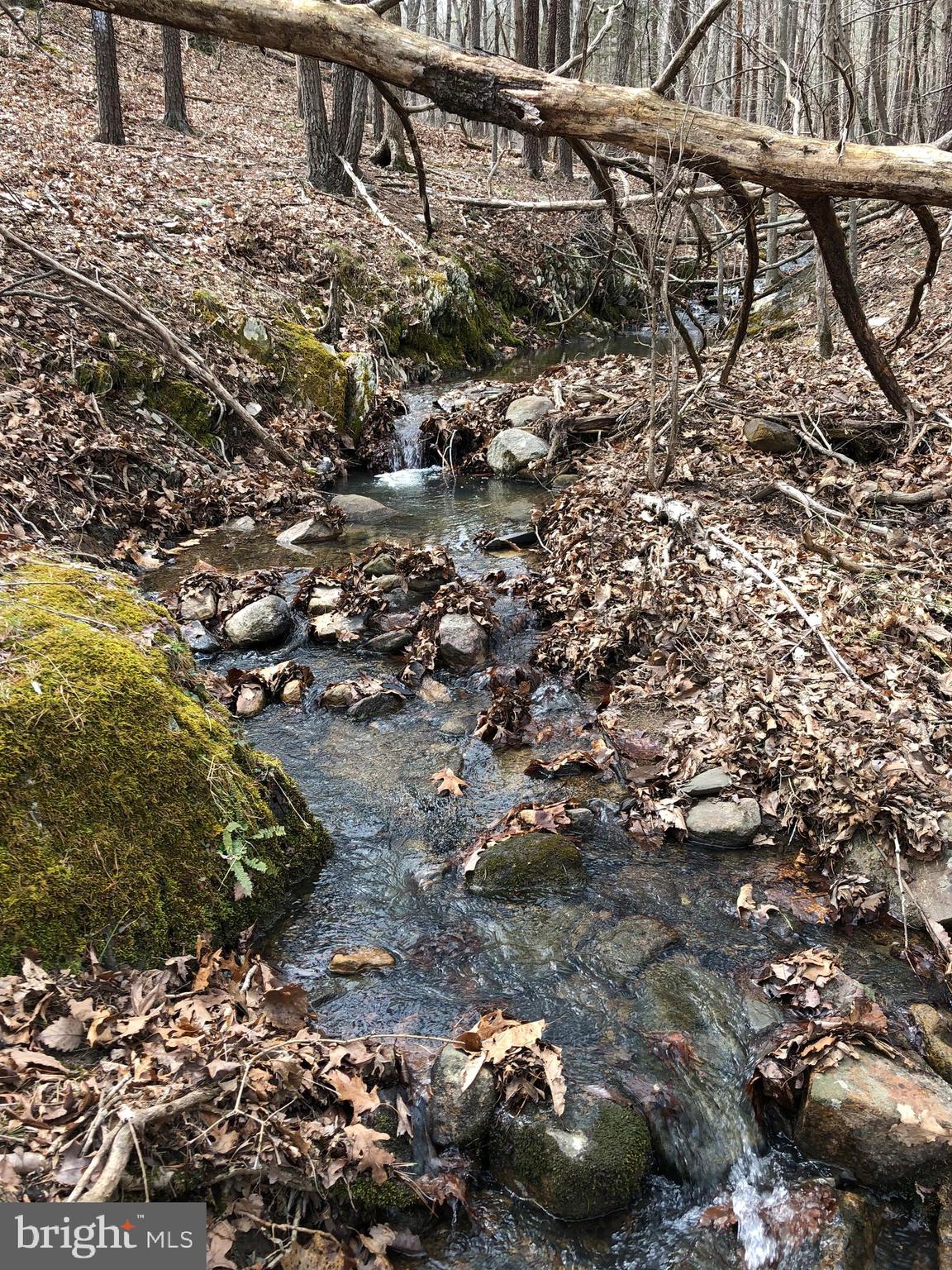 Mountain Road Front Royal, VA 22630 - Photo 10 of 27 You'll love the sound of the streams