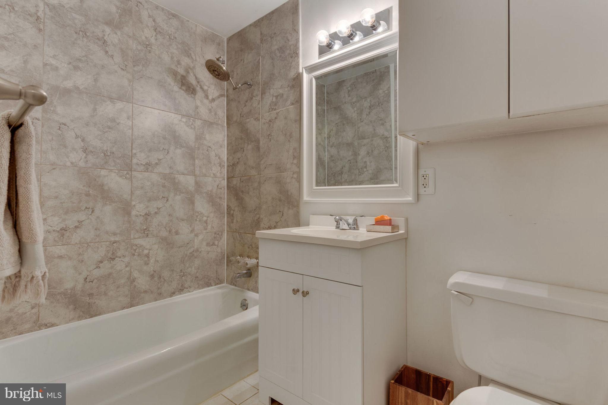 2287 White Cornus Lane Reston, VA 20191 - Photo 23 of 28 Bath (Master)
