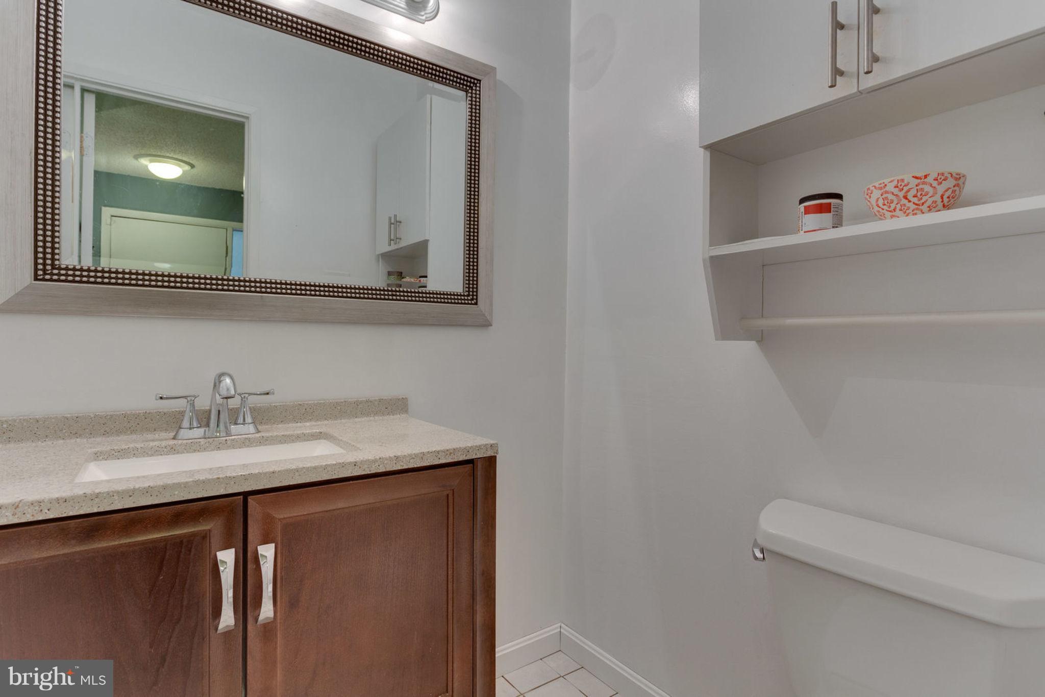 2287 White Cornus Lane Reston, VA 20191 - Photo 9 of 28 Bath