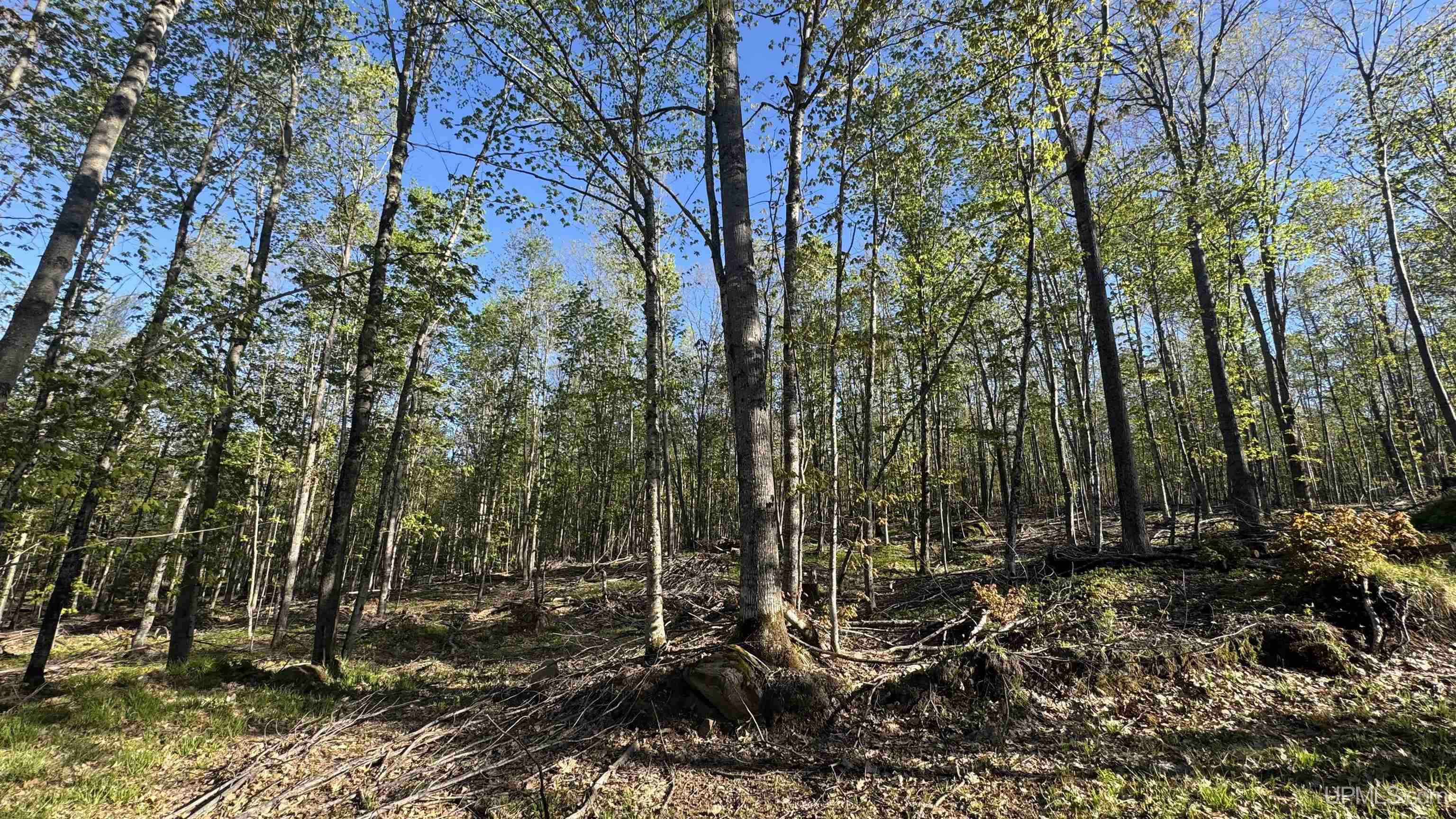Off Off Hoist Road Negaunee, MI 49866 - Photo 43 of 45
