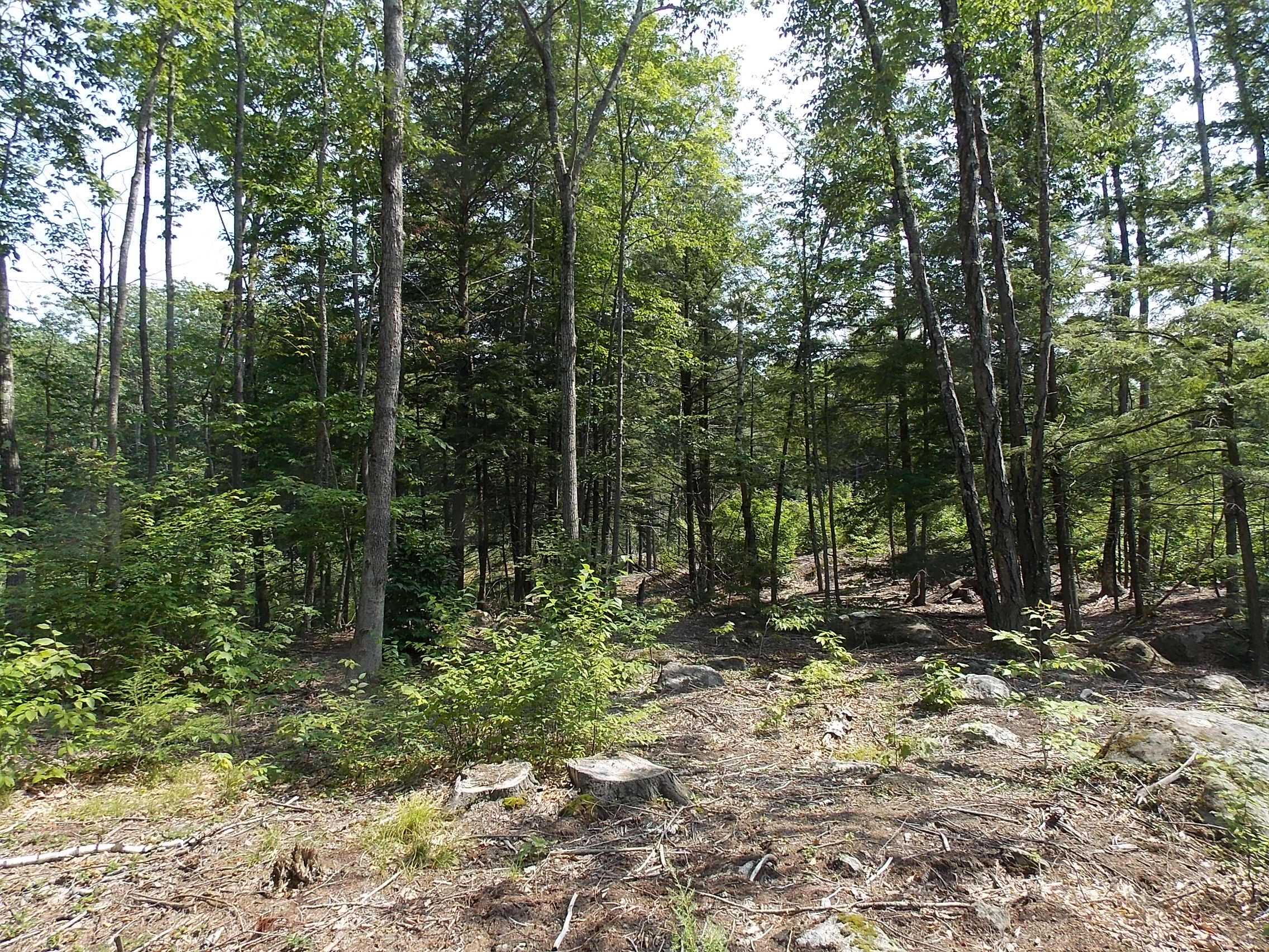 0 Walnut Brook Road Sanford, ME 04073 - Photo 10 of 19 DSCN9523