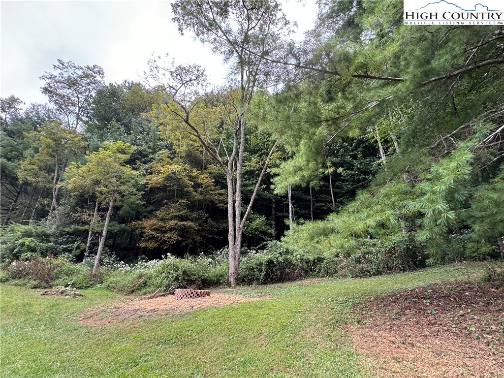 321 Skin Camp Creek Road Todd, NC 28684 - Photo 19 of 29 a view of a garden