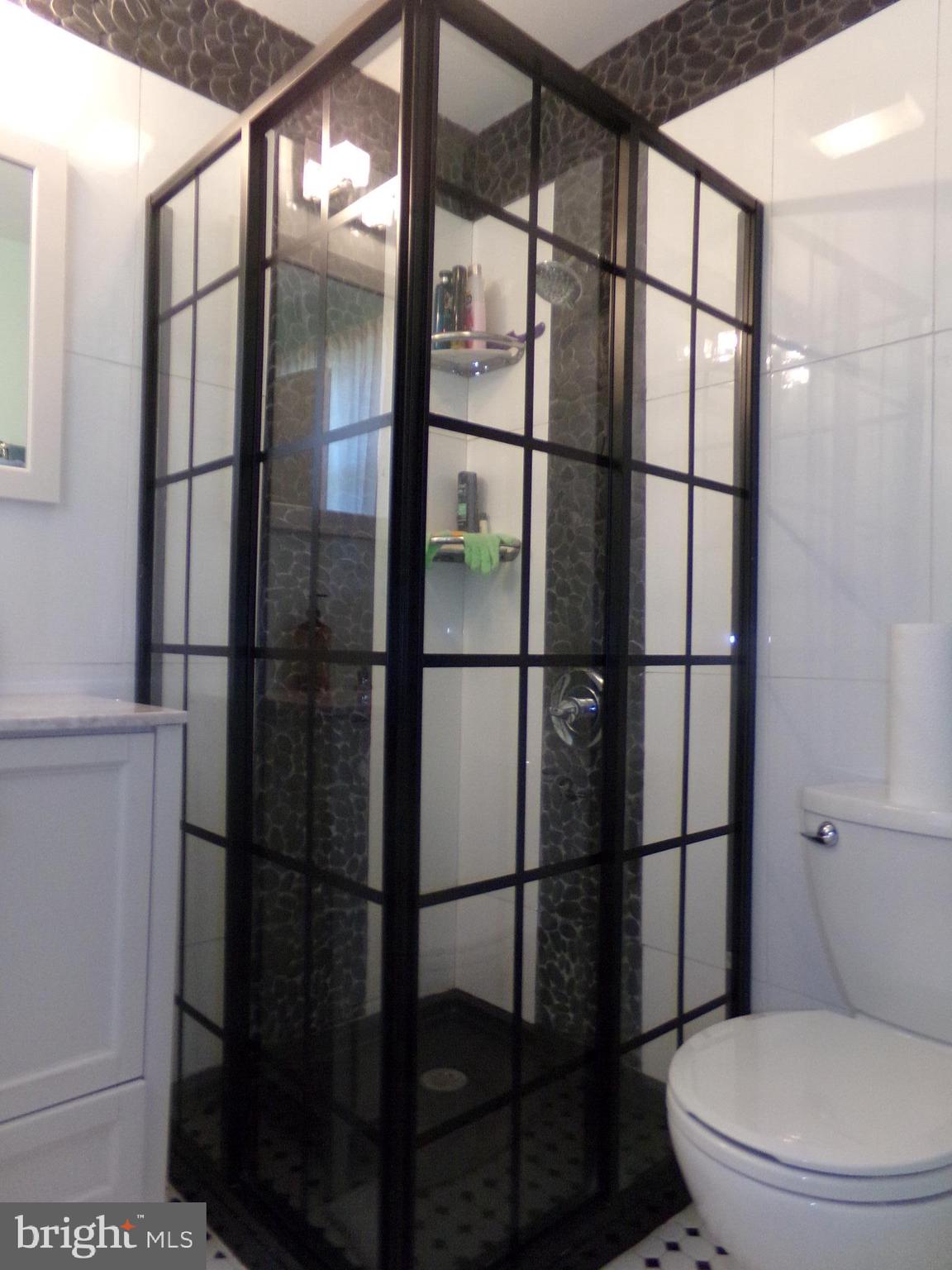 36 Baily Road Yeadon, PA 19050 - Photo 20 of 42 Luxurious stall shower
