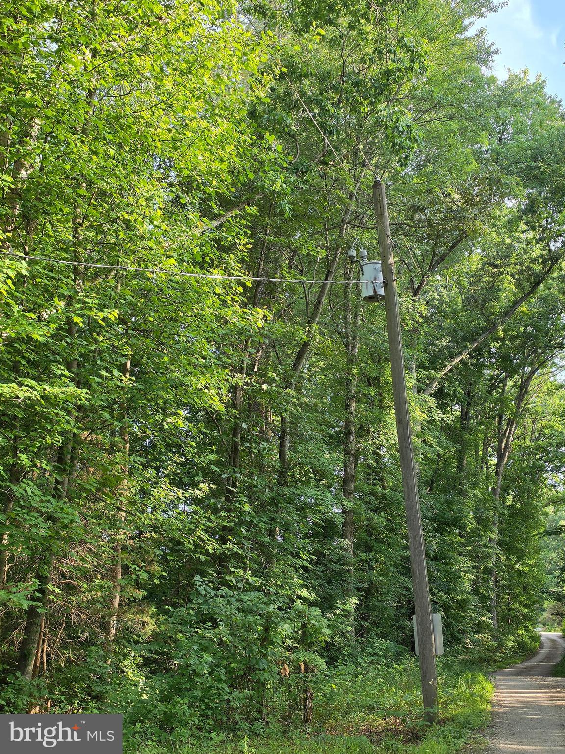 Old Ridge Road Montpelier, VA 23192 - Photo 17 of 17