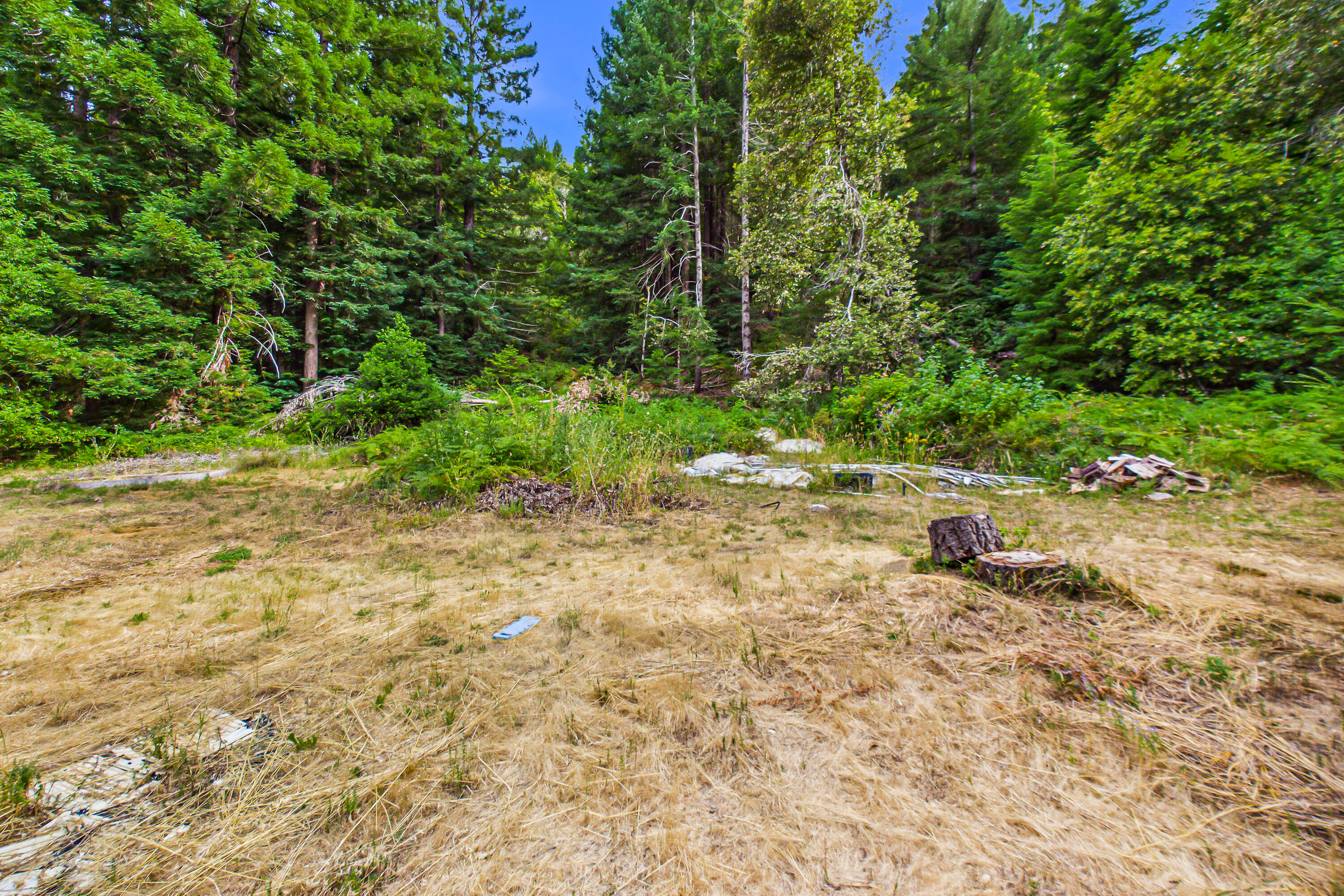 1005 Twin Trees Road Garberville, CA 95542 - Photo 73 of 84