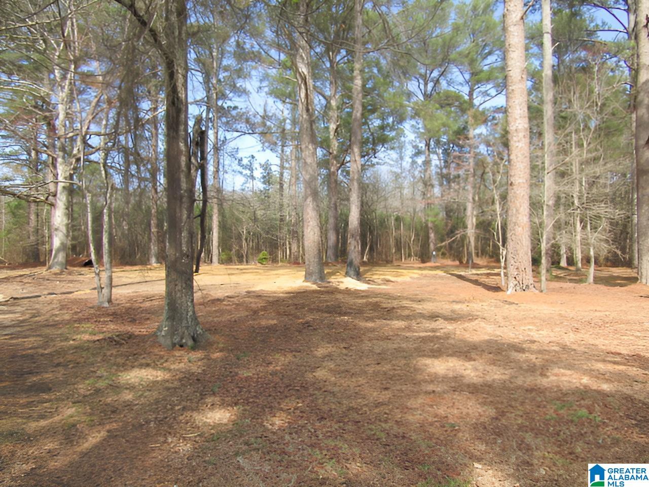 4429 Roy Webb Road Jacksonville, AL 36265 - Photo 9 of 26