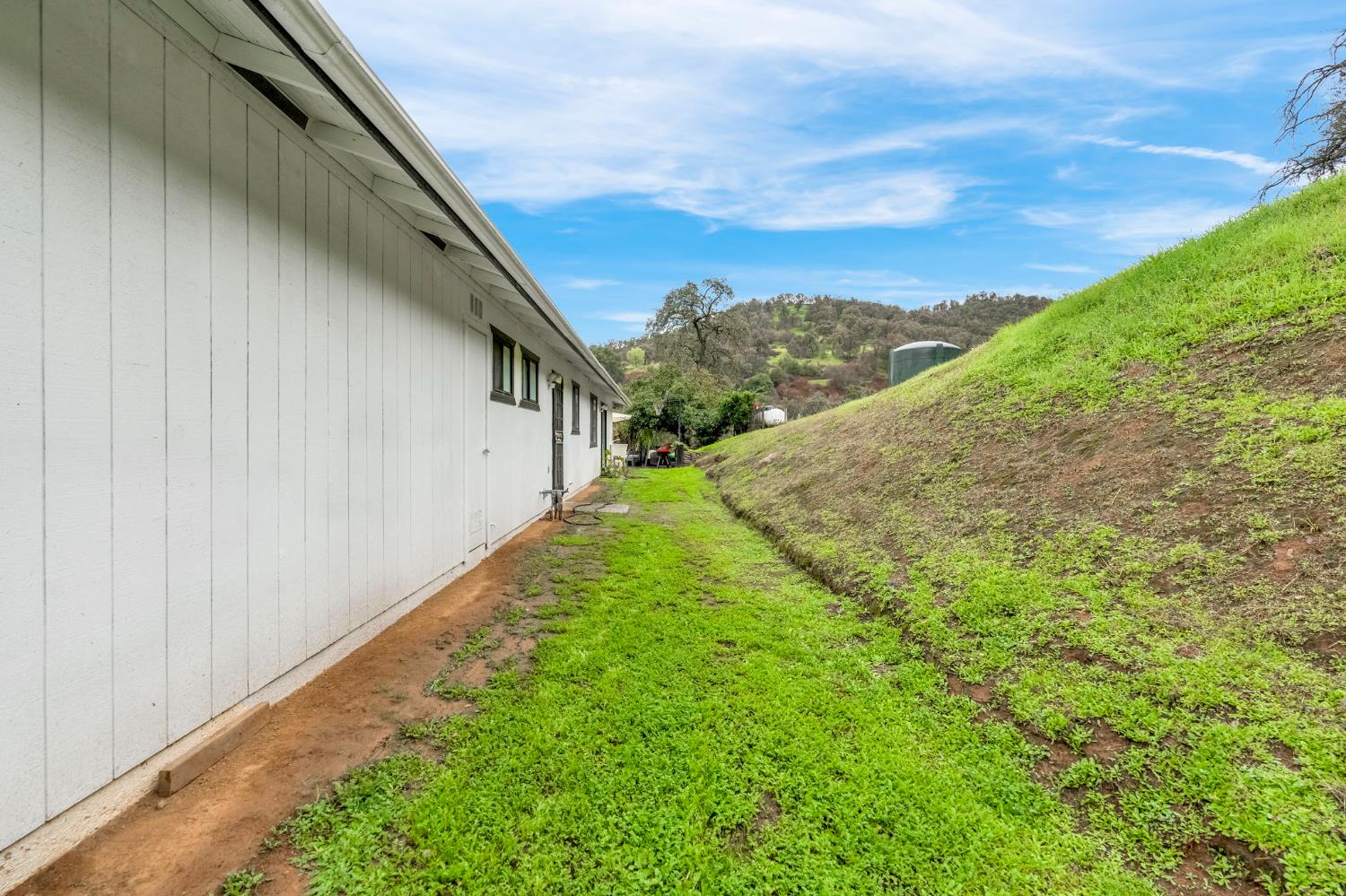 29668 Seminole Road Tollhouse, CA 93667 - Photo 8 of 28 a view of a yard with plants